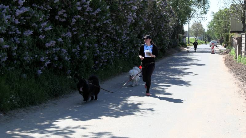 KOLEJNA EDYCJA DOGTREKKINGU